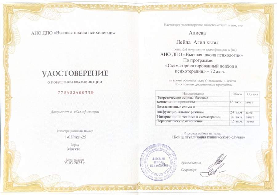 Удостоверение схема-подход